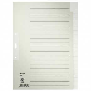 LEITZ Register 6096 A4 blanko 20-teilig grau