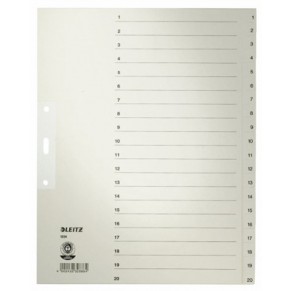 LEITZ Zahlenregister 1234 A4 20-teilig grau